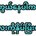 image0 (11)