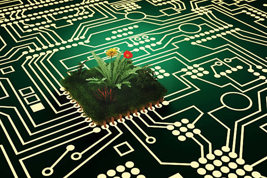 Flowers growing on a digital circuit board