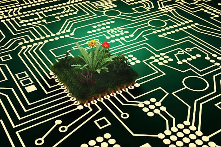 Flowers growing on a digital circuit board