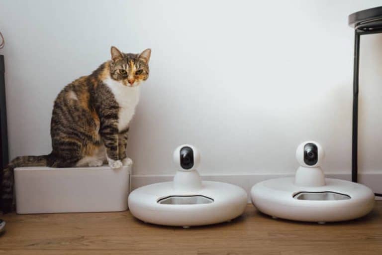 How IoT Devices Are Making Smart Homes  Smarter